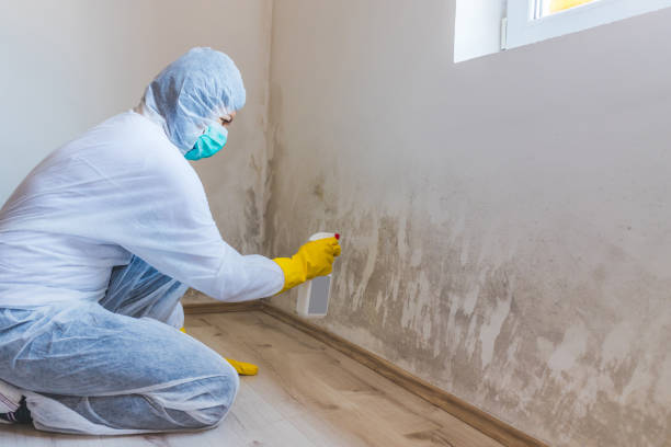 Licensed Commercial Mold Remediation service in Algonquin, MD - WQB Mold Removal