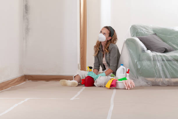 Reliable Commercial Mold Remediation contractor in Algonquin, MD by WQB Mold Removal