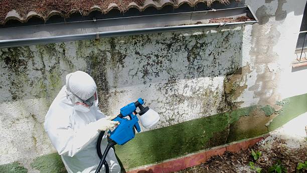Top rated local Commercial Mold Remediation specialists in Algonquin, MD